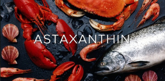 Astaxanthin là gì